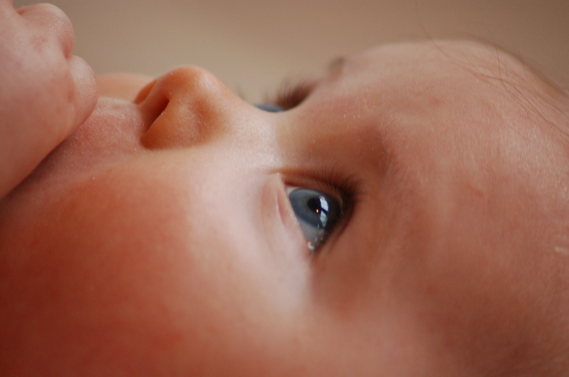 photo d'un bebe vu de près et de profil